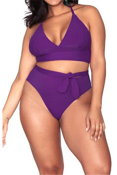 Plus Size High Waisted Halter Two-Piece - Gettin Shady